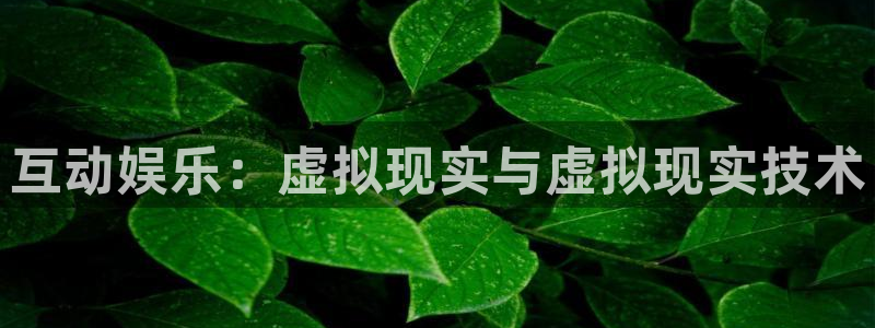 焦点娱乐3官网：互动娱乐：虚拟现实与虚拟现实技术