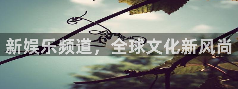 焦点娱乐手机客户端下载安装：新娱乐频道，全球文化新风尚