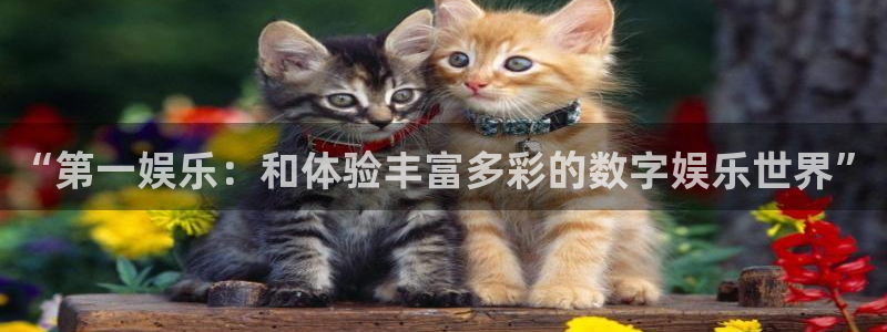 焦点娱乐注册入口与教程：“第一娱乐：和体验丰富多彩的数字娱乐世界”