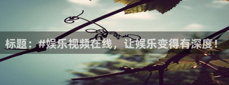 焦点娱乐平台开户：标题：#娱乐视频在线，让娱乐变得有深度！