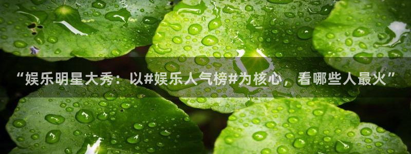 焦点娱乐：“娱乐明星大秀：以#娱乐人气榜#为核心，看哪些人最火”