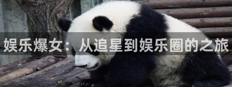 焦点娱乐quan28.cc：娱乐爆女：从追星到娱乐圈的之旅