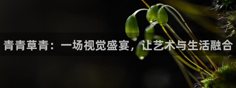 焦点娱乐app下载：青青草青：一场视觉盛宴，让艺术与生活融合