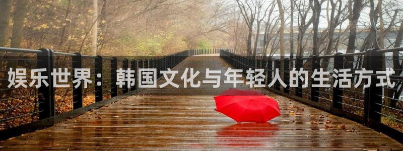 焦点娱乐游戏官网版：娱乐世界：韩国文化与年轻人的生活方式