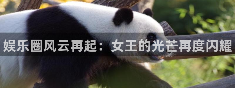 焦点娱乐注册网站链接：娱乐圈风云再起：女王的光芒再度闪耀