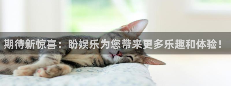 焦点娱乐3注册：期待新惊喜：盼娱乐为您带来更多乐趣和体验！