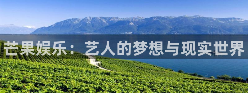 焦点娱乐官网入口：芒果娱乐：艺人的梦想与现实世界