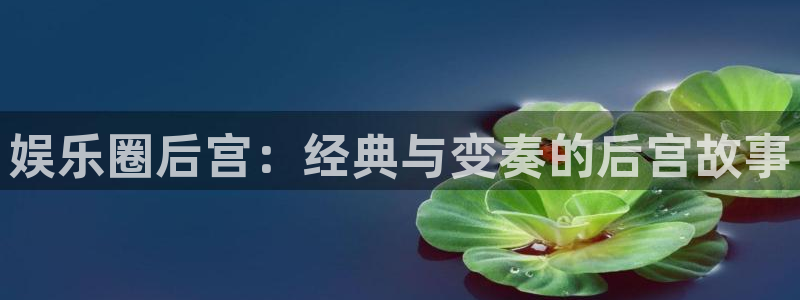 焦点娱乐体育平台注册：娱乐圈后宫：经典与变奏的后宫故事