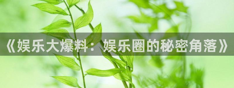 焦点娱乐登录：《娱乐大爆料：娱乐圈的秘密角落》