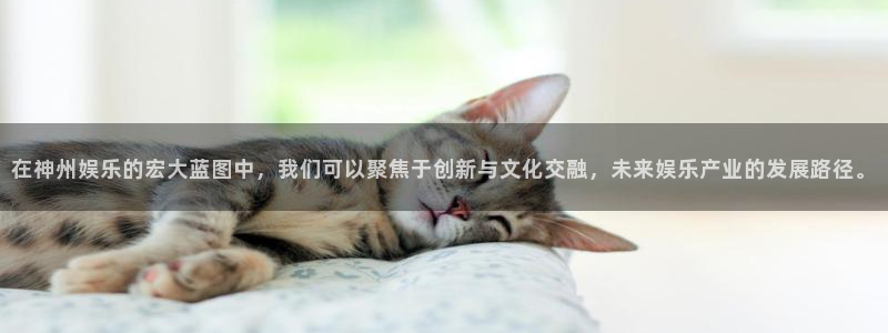 焦点娱乐体育2官网入口：在神州娱乐的宏大蓝图中，我们可以聚焦于创新与文化交融，未