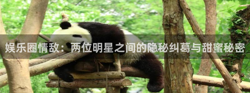 焦点娱乐体育app下载：娱乐圈情敌：两位明星之间的隐秘纠葛与甜蜜秘密