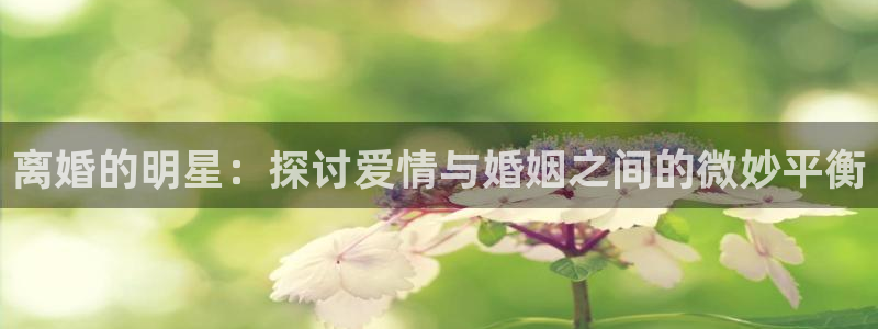 焦点娱乐加拿大在线预测：离婚的明星：探讨爱情与婚姻之间的微妙平衡
