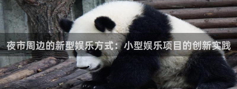 焦点娱乐体育代理申请流程：夜市周边的新型娱乐方式：小型娱乐项目的创新实践