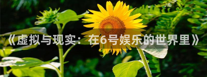 焦点娱乐的平台
