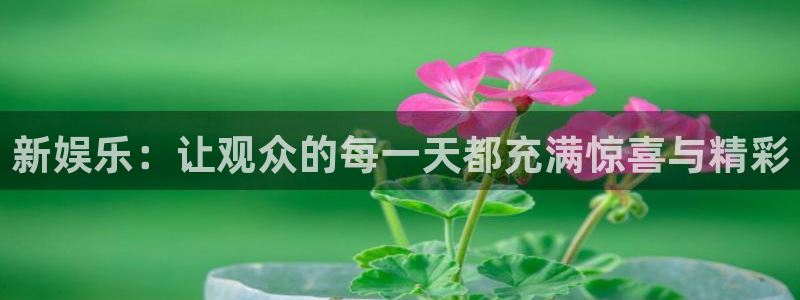 焦点娱乐官网下载：新娱乐：让观众的每一天都充满惊喜与精彩