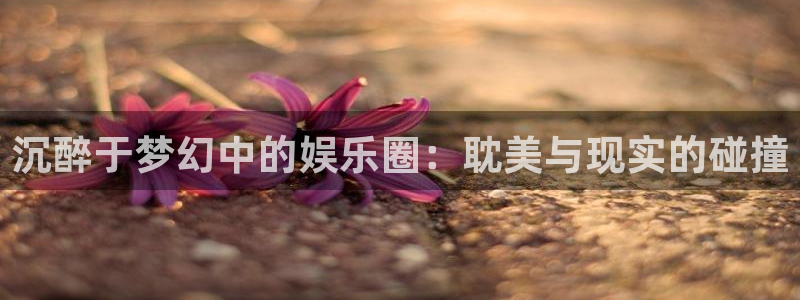 焦点娱乐平台注册账号：沉醉于梦幻中的娱乐圈：耽美与现实的碰撞