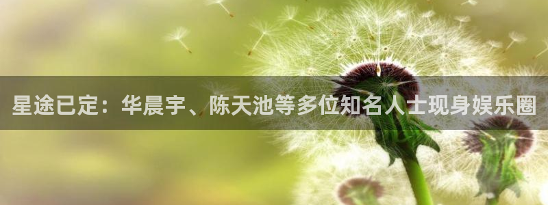 焦点娱乐加拿大app预测：星途已定：华晨宇、陈天池等多位知名人士现身娱乐圈