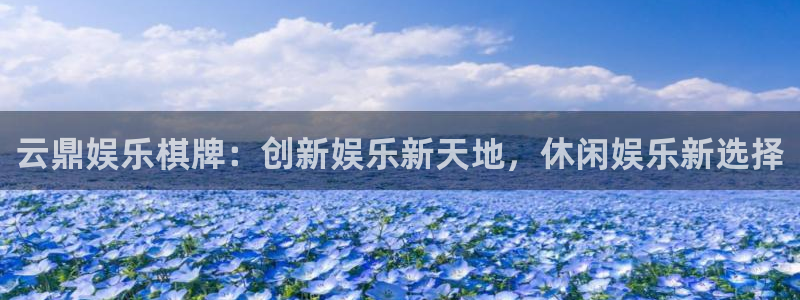 焦点娱乐.ccmpc29官网版下载：云鼎娱乐棋牌：创新娱乐新天地，休闲娱乐新选择